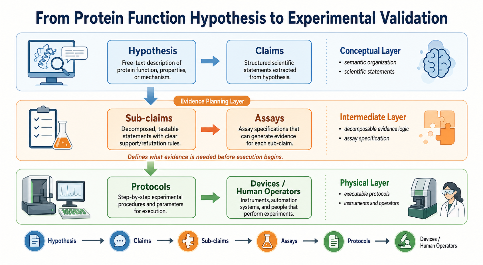 从 hypothesis 到实验验证的分层框架概览